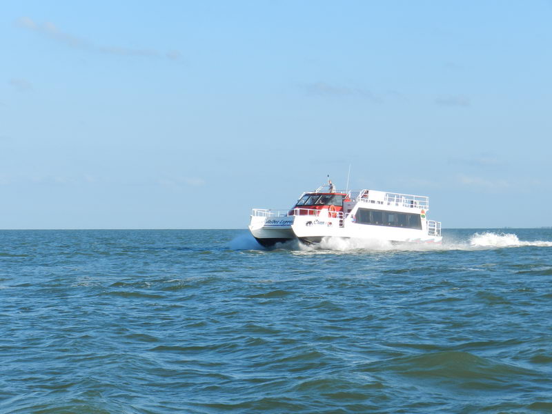 Shuttle to Holbox