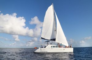 Luxury Catamaran at Cozumel for day trip