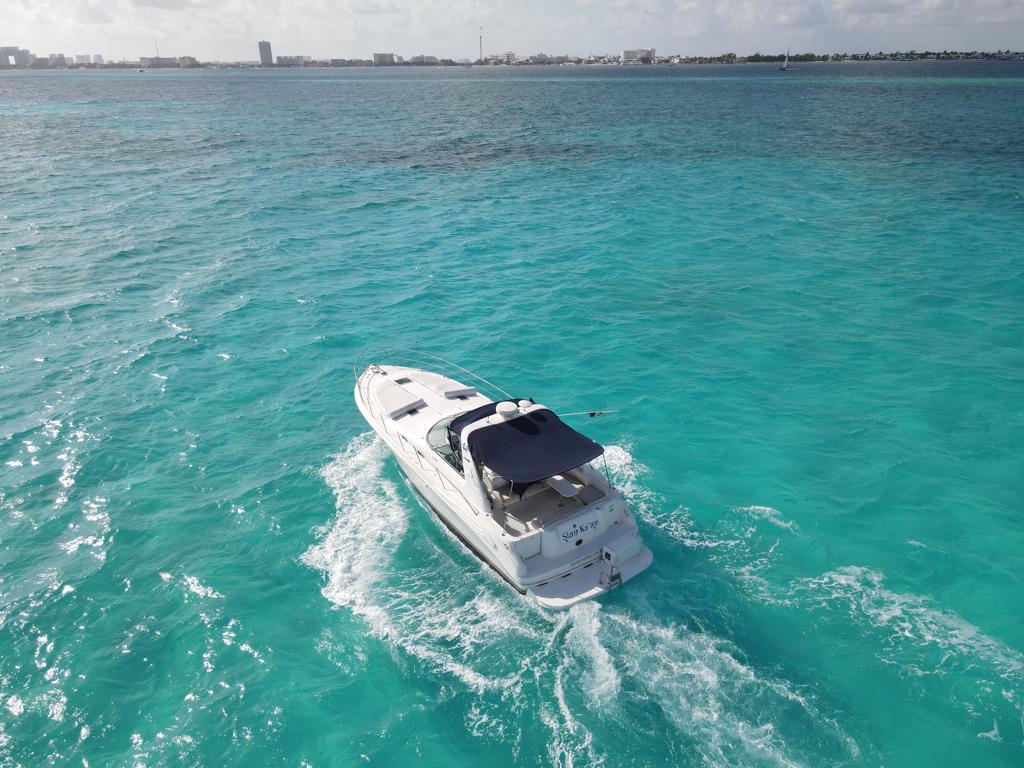 SeaRay 41 rent a boat