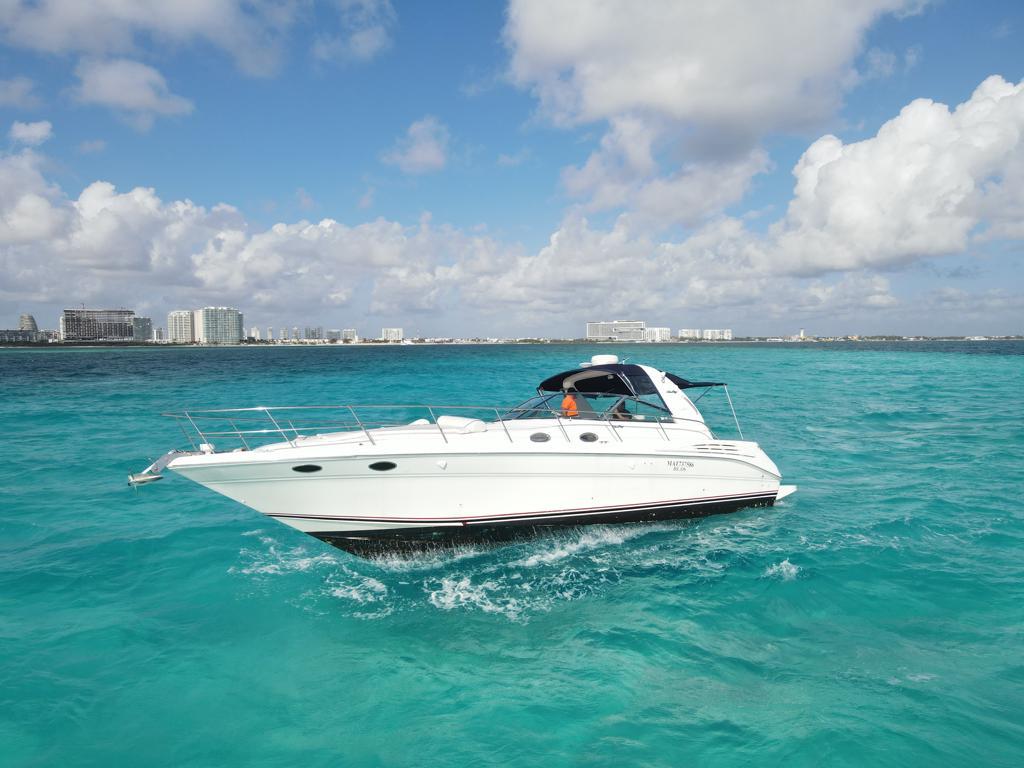 SeaRay 41 rent a boat
