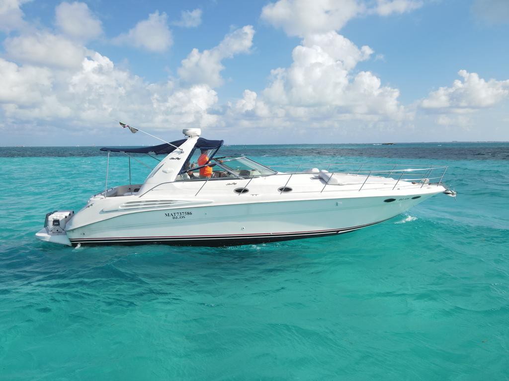 SeaRay 41 rent a boat